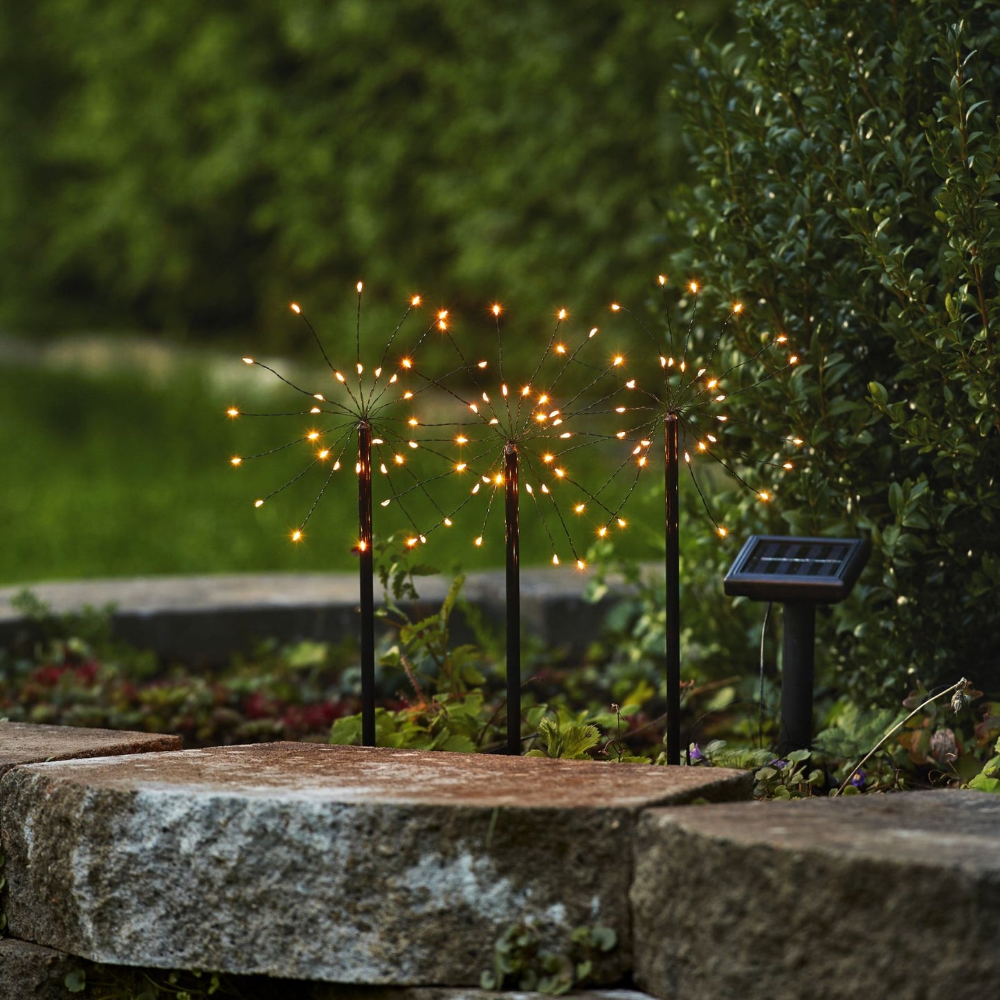 solcellsdekoration-firework-solar-480-58