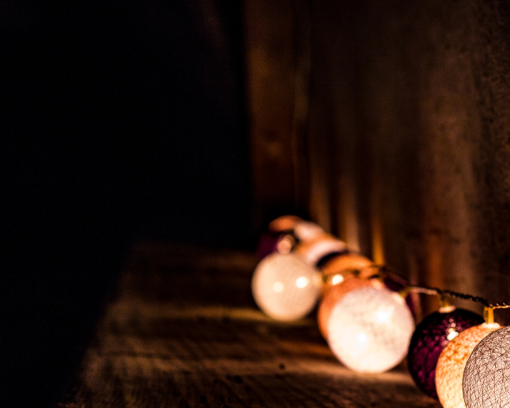 DIE FAVORITEN DES KÖNIGS